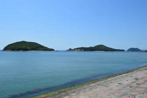 蔦島