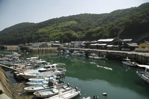佐柳島