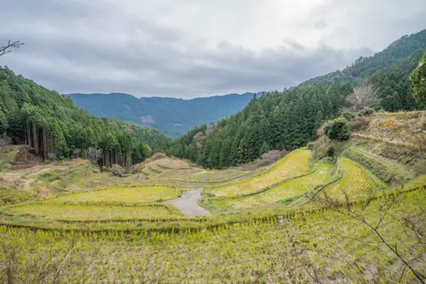 樫原の棚田