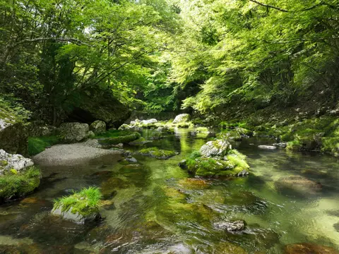 小田深山渓谷