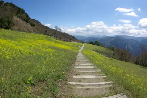 翠波高原