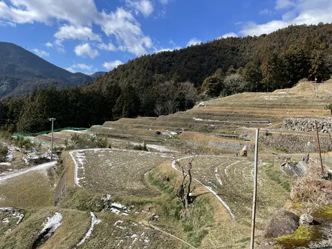 市宇の棚田