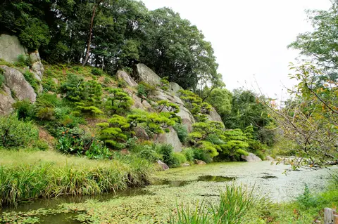湯築城跡