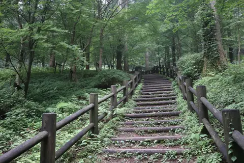 上林森林公園