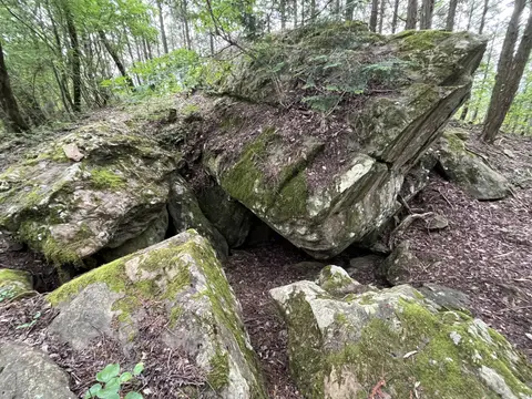 神南山