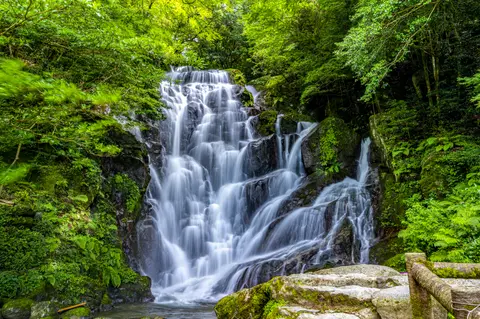 白糸の滝