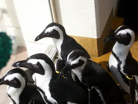久留米市鳥類センター