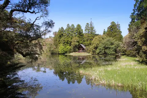 池の山キャンプ場