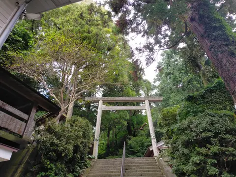 遠見岳