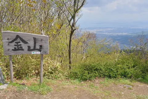 金山