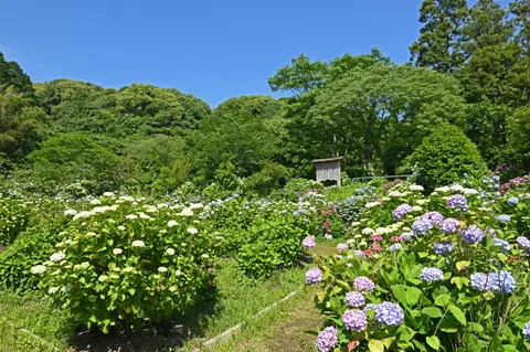 天拝山