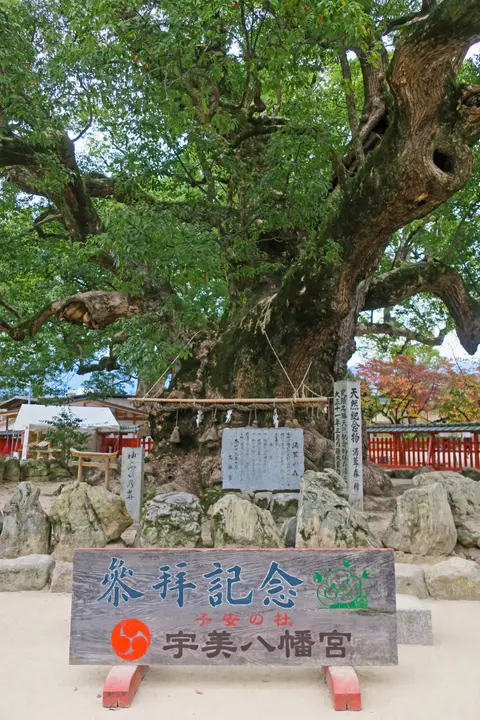 湯蓋の森