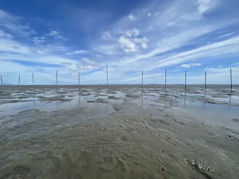 有明海の干潟
