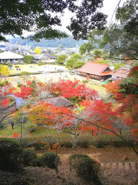 西渓公園