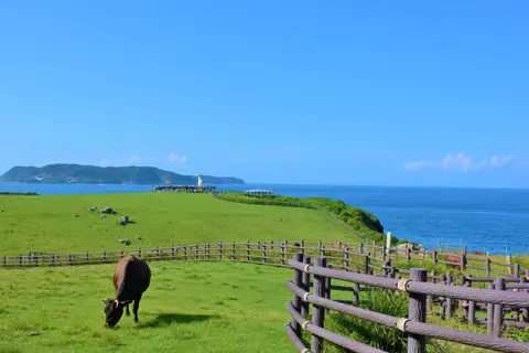 加部島