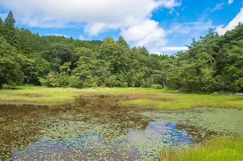 樫原湿原