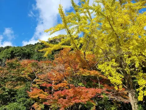 竜門峡