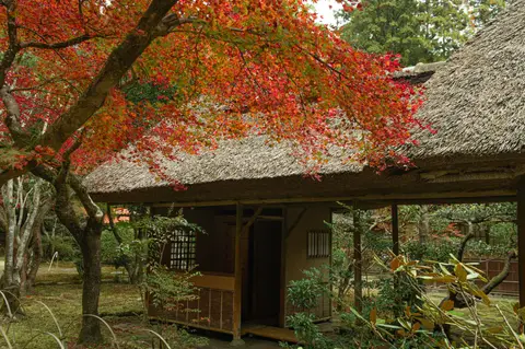 九年庵