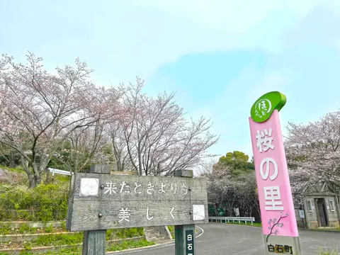 桜の里