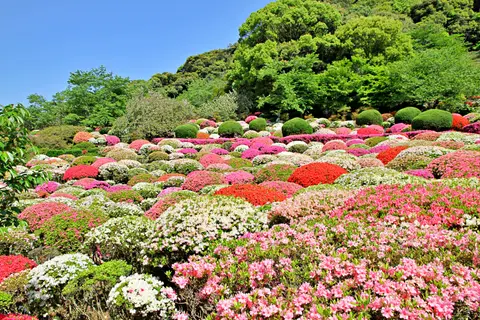 御船山