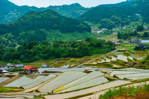 鬼木棚田