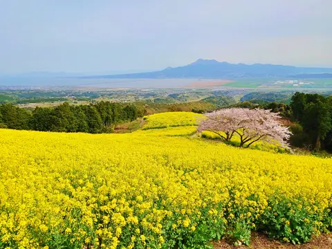 白木峰高原