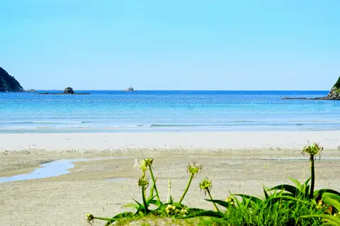 蛤浜海水浴場