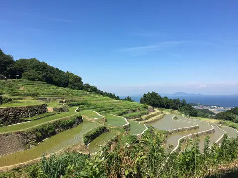 谷水棚田