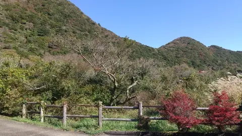 田代原キャンプ場