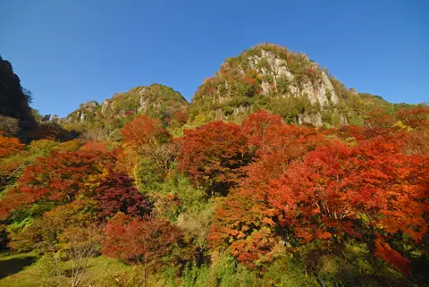一目八景
