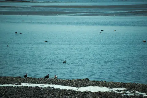 宇佐市和間海浜公園