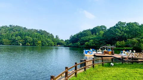 志高湖