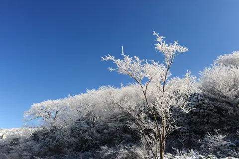 牧の戸峠