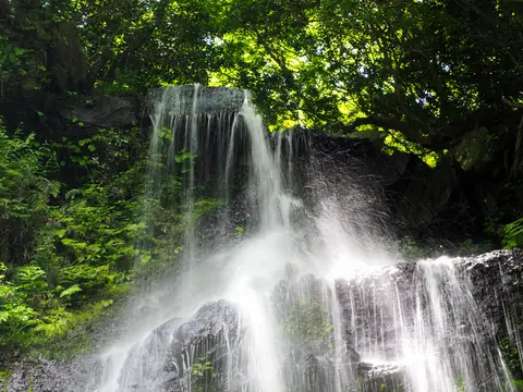 清滝（大分県竹田市）
