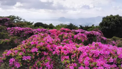 経塚山