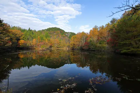 鶴ヶ原の池