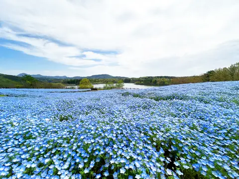 日指ダム湖