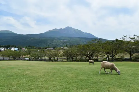 高千穂牧場