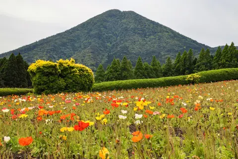 生駒高原