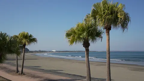 青島海水浴場