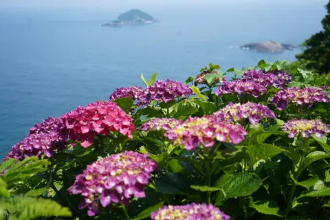 桃源郷岬
