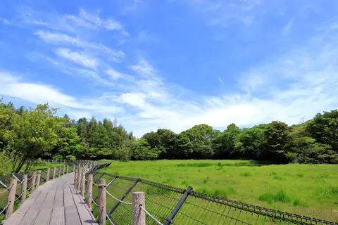 高鍋湿原