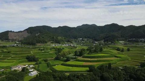 栃又棚田