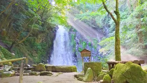 白糸の滝