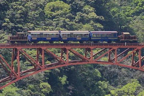 トロッコ列車「ゆうすげ号」