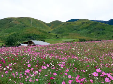 俵山交流館萌の里