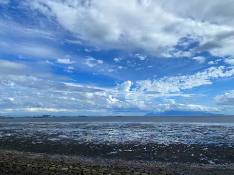 潮干狩り