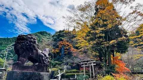 日本一の石段（釈迦院御坂遊歩道）