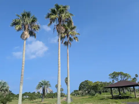 休暇村 指宿